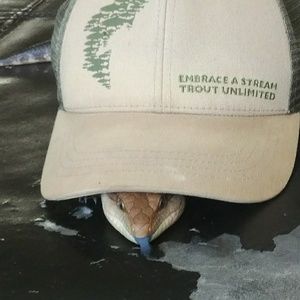 Meet your Posher, Jeff